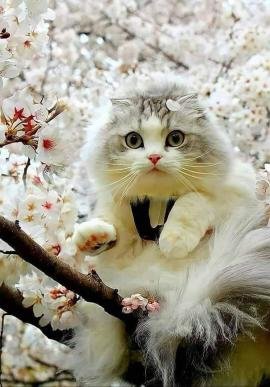 №2596264 - оригинал