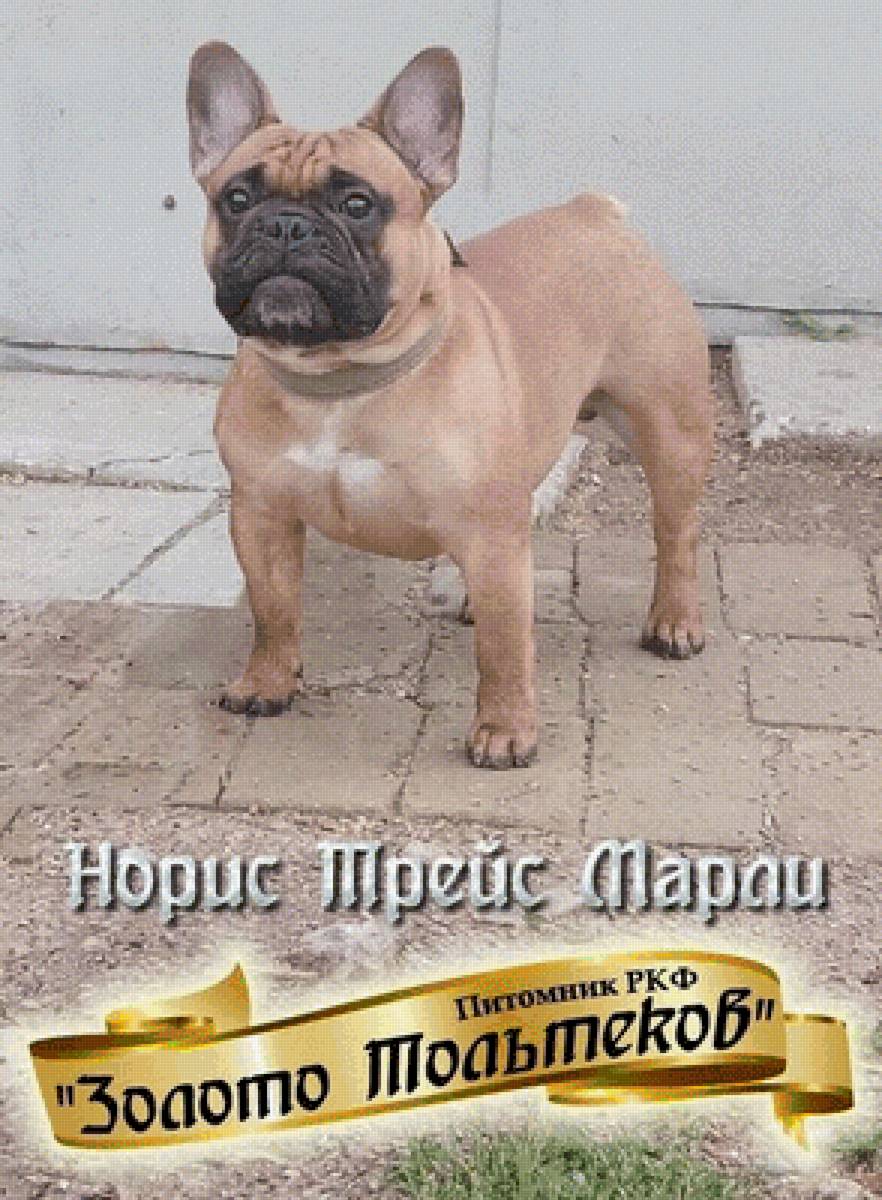 №2596447 - предпросмотр