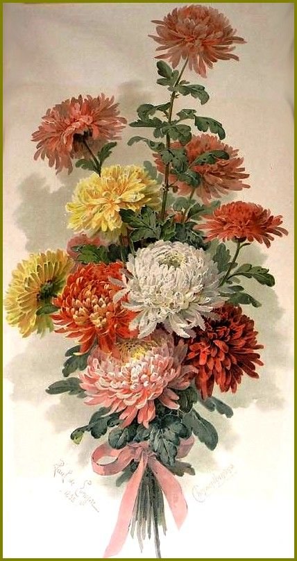 Букет хризантем - цветы, хризантемы, живопись - оригинал