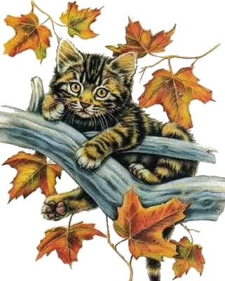 Высоко сижу - кот - оригинал