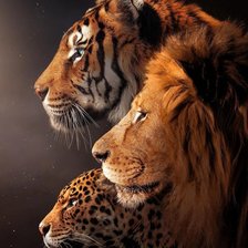 Схема вышивки «№2596759»