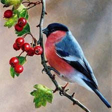 Схема вышивки «№2596788»