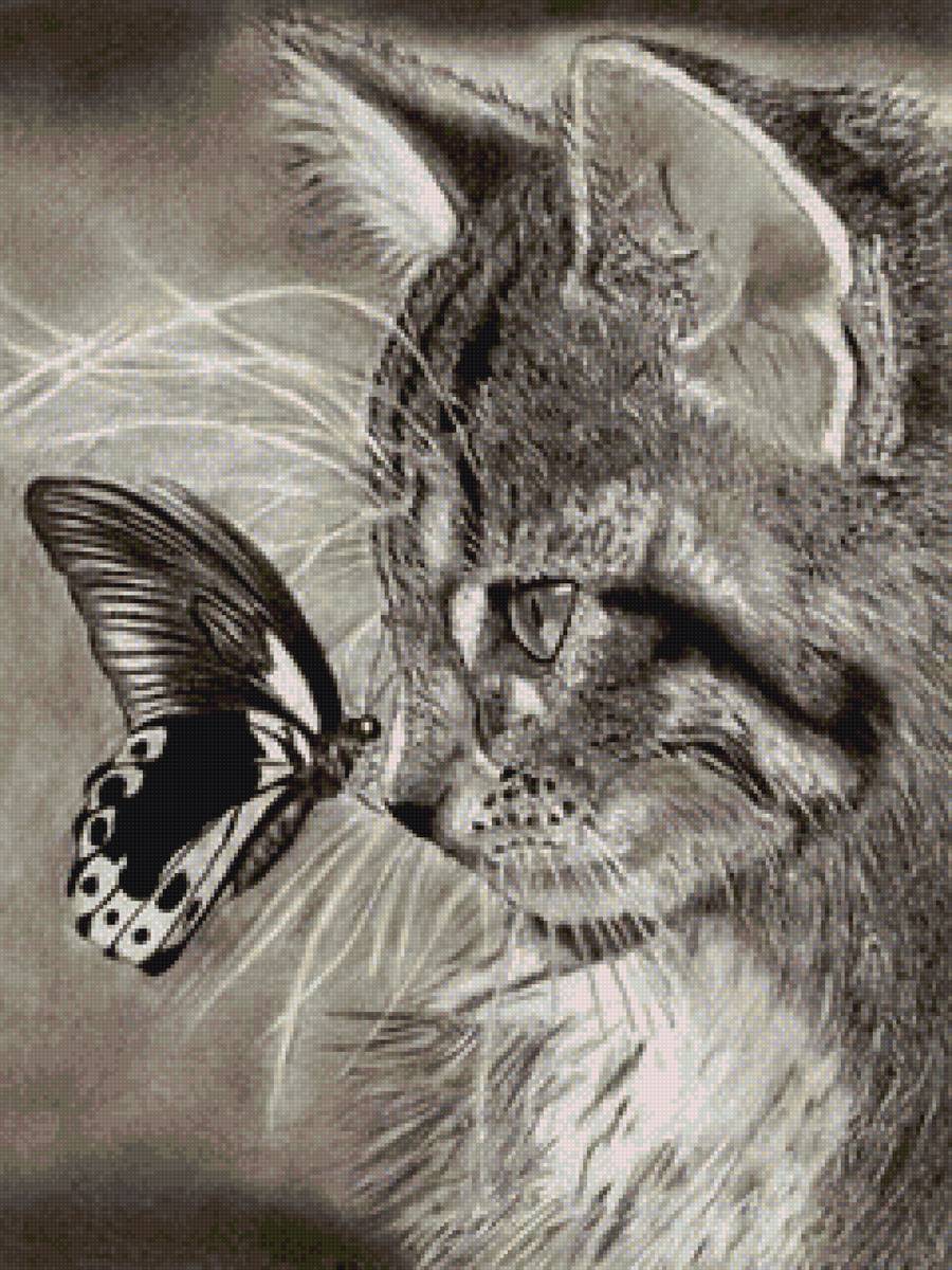 Котенок и бабочка - кот, бабочка - предпросмотр