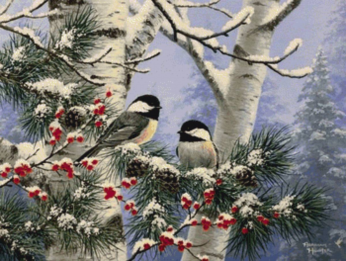 Синички - зима, птицы, синицы - предпросмотр