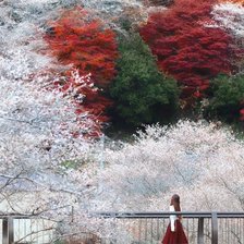 Схема вышивки «Японская осень»
