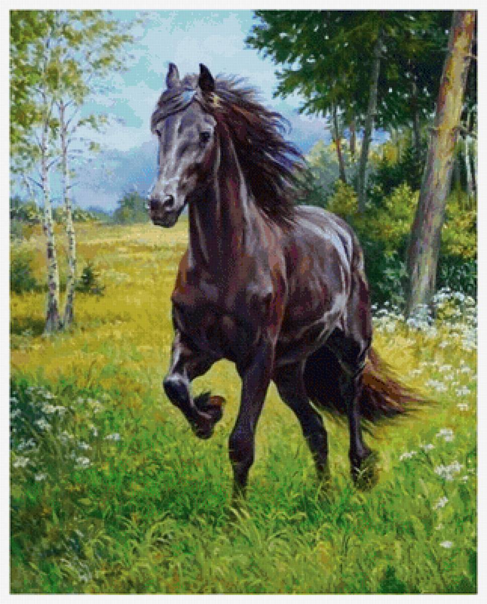 На воле - лето, лошадь, конь, природа - предпросмотр