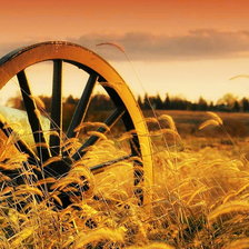 Схема вышивки «№2598356»