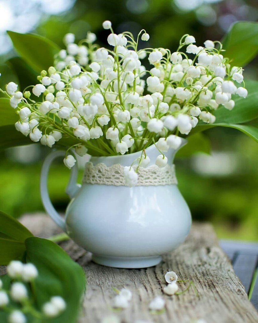 ландыш - натюрморт, ландыш - оригинал