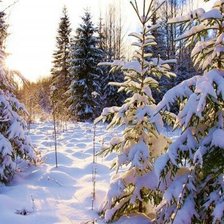 Схема вышивки «Зима»