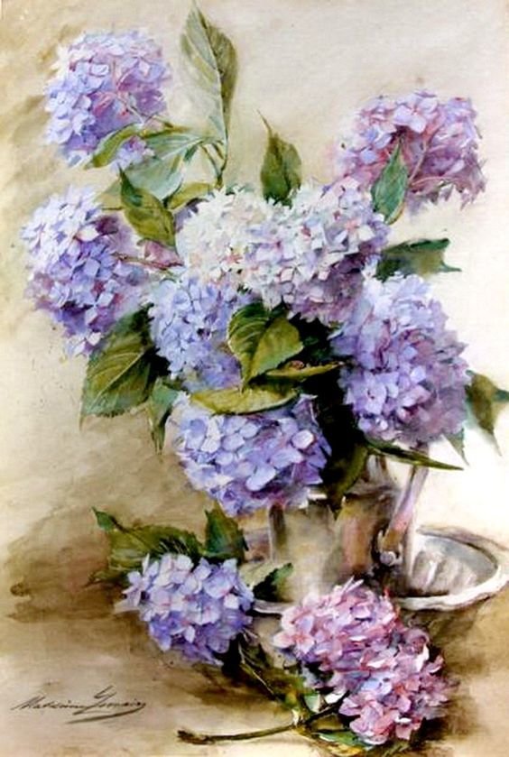Гортензии - гортензия, букет, цветы - оригинал