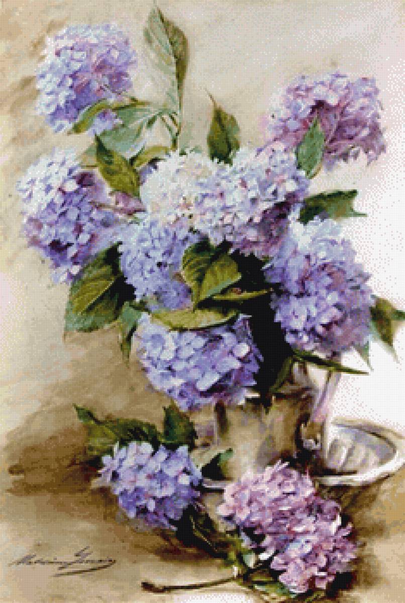 Гортензии - цветы, букет, гортензия - предпросмотр