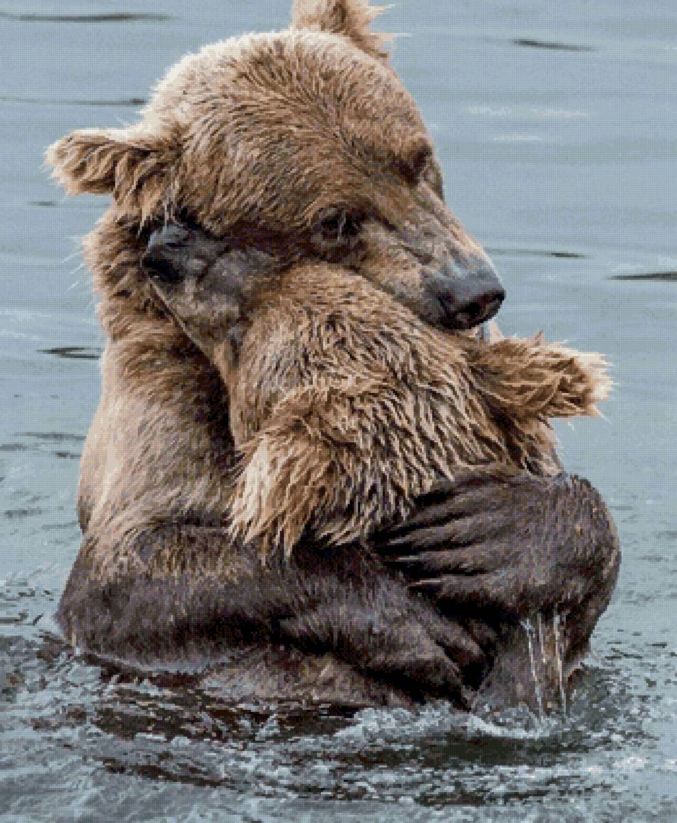 Любовь - море, любовь, мама и малыш, вода, медведи - предпросмотр