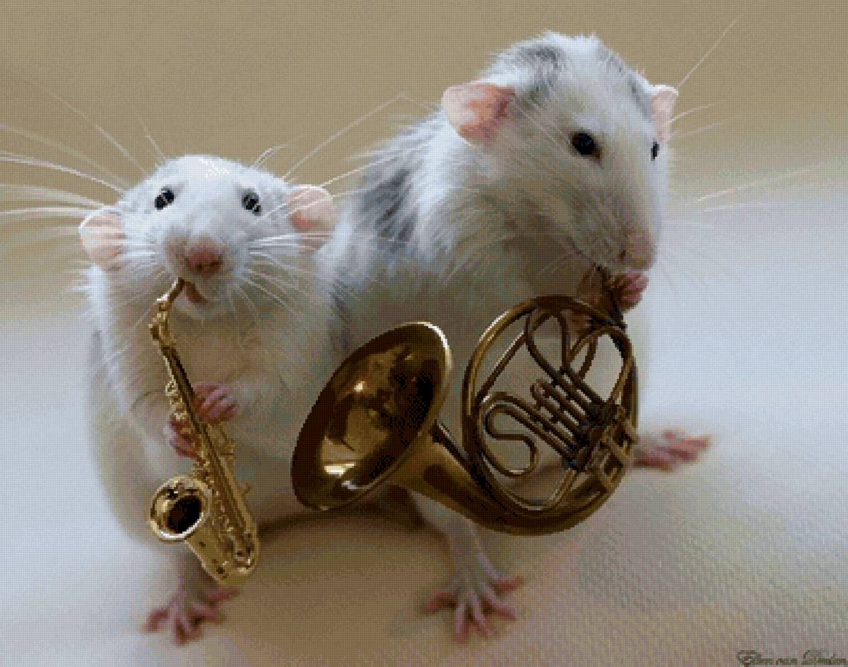 Мышиный концерт - труба, мыши, музыка, саксафон - предпросмотр