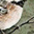 Предпросмотр схемы вышивки «Лесные птицы» (№2598993)