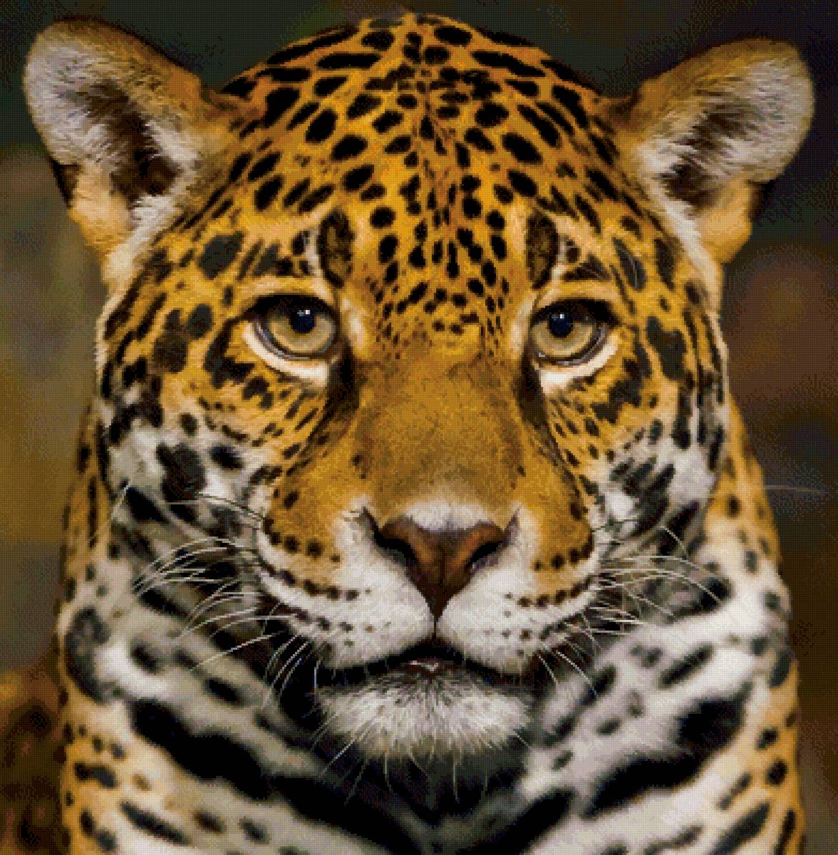 Ягуар - предпросмотр