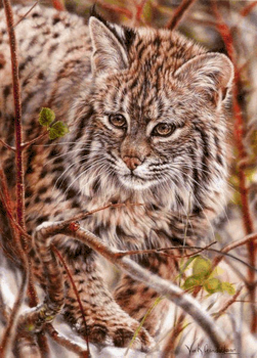 На охоте - дикие животные - предпросмотр