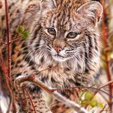 Схема вышивки «На охоте»