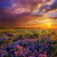 Схема вышивки «Акварельный пейзаж»