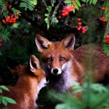 Схема вышивки «Семья»