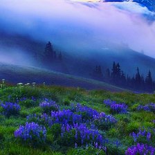 Схема вышивки «Акварельный лавандовый пейзаж»