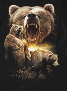 русские медведи - природа животное - оригинал