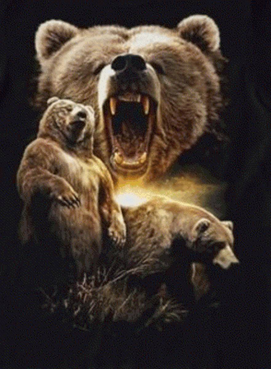 русские медведи - природа животное - предпросмотр