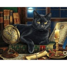 Схема вышивки «Волшебный мудрый кот»