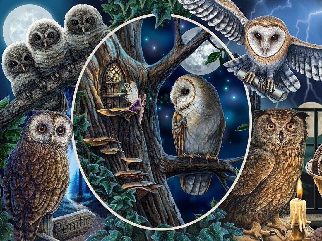 Умные совы - фантази, совы, животные, книги, гари потер - оригинал