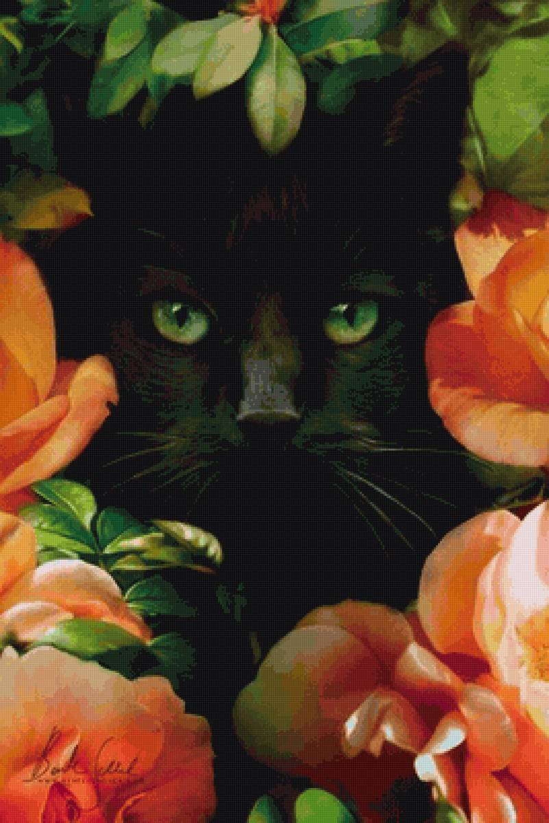 Загадочный кот ведьмы - хэллоуин, цветы, коты, котики, кот - предпросмотр