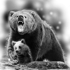 Схема вышивки «медведи»