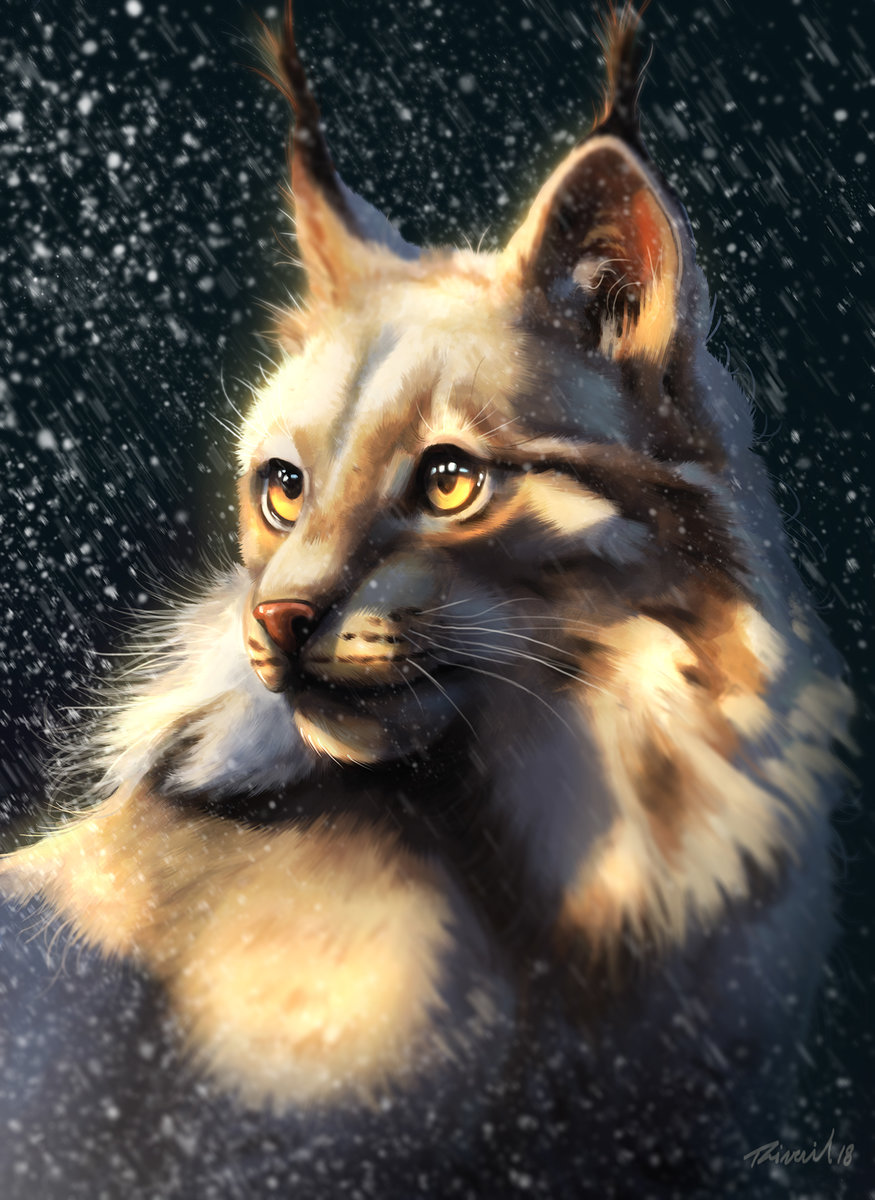 Нежный котик - животные, пейзаж - оригинал