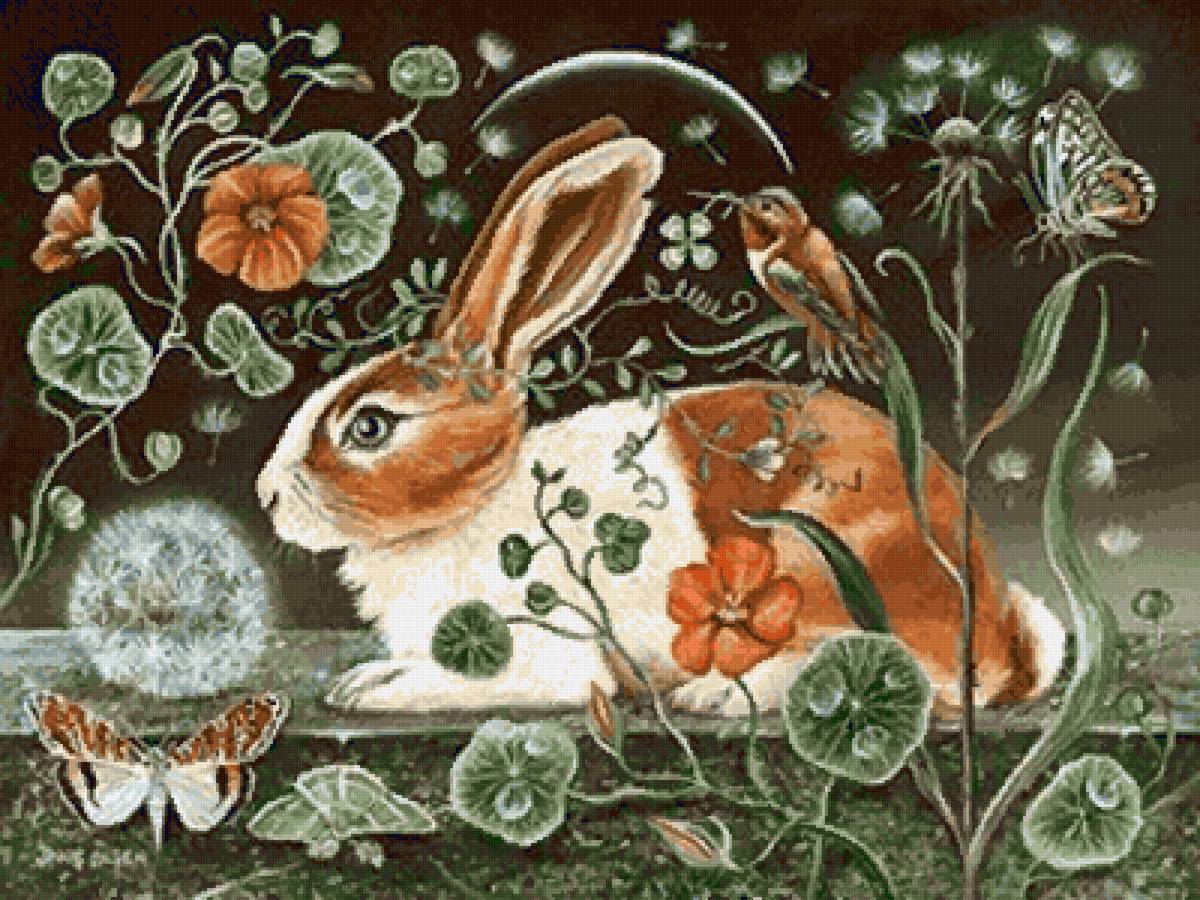 Зайка - животное, зайка - предпросмотр