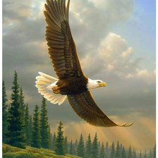 Схема вышивки «№2600224»