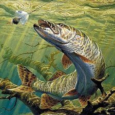 Схема вышивки «№2600271»