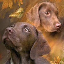 Схема вышивки «№2600296»