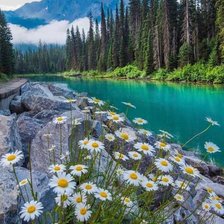 Схема вышивки «№2600671»