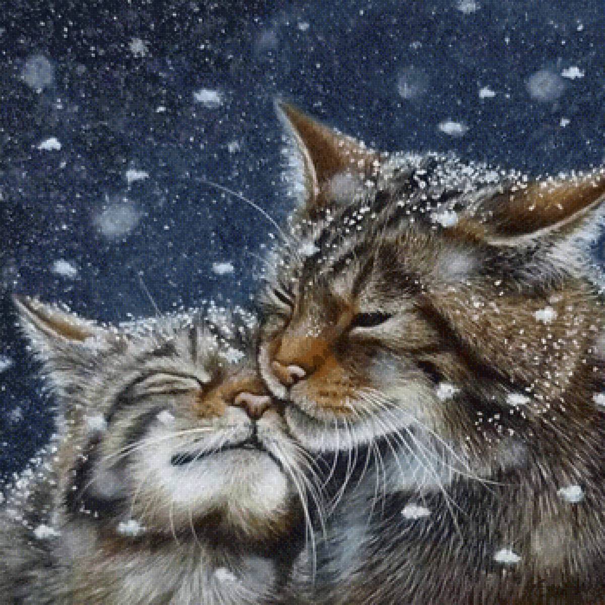 Нежность - котики - предпросмотр