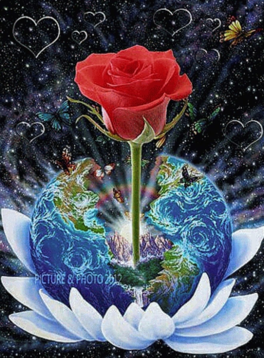 Роза - оригинал