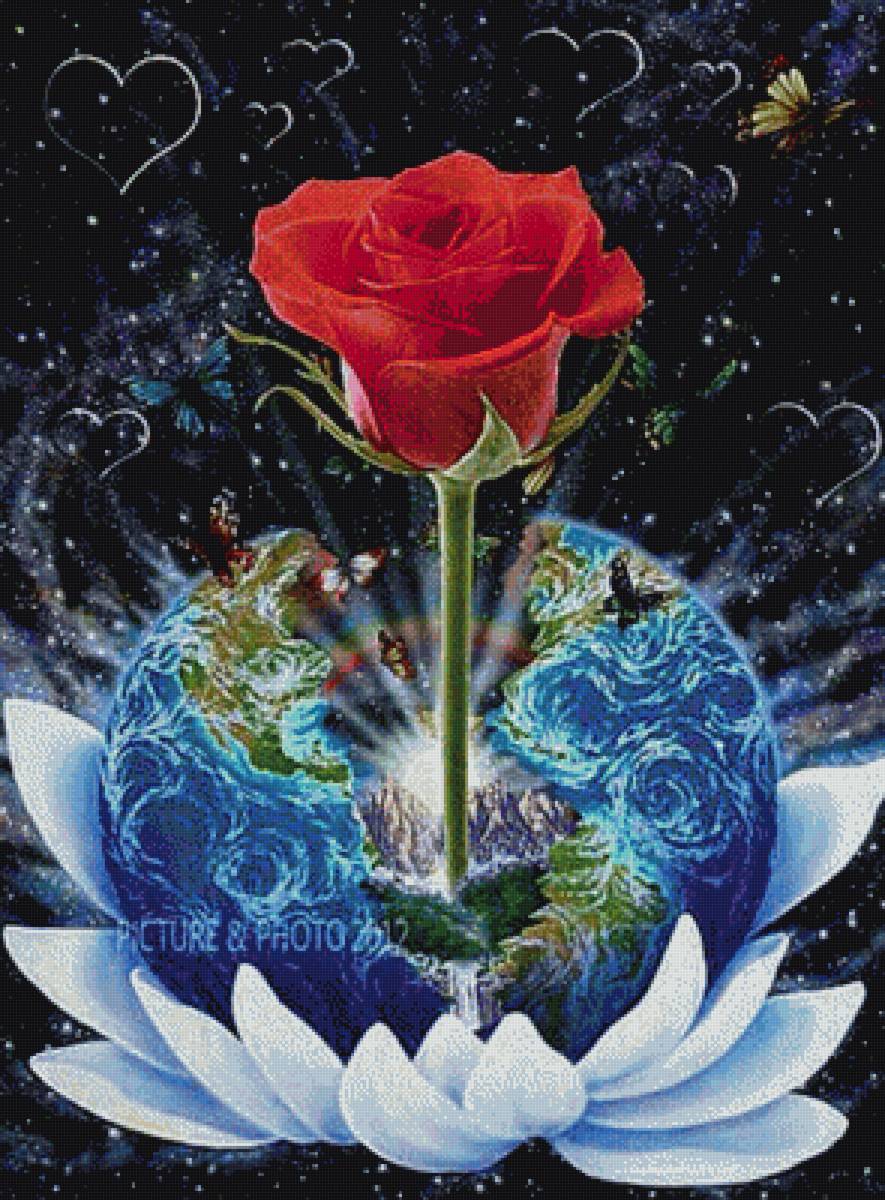 Роза - предпросмотр