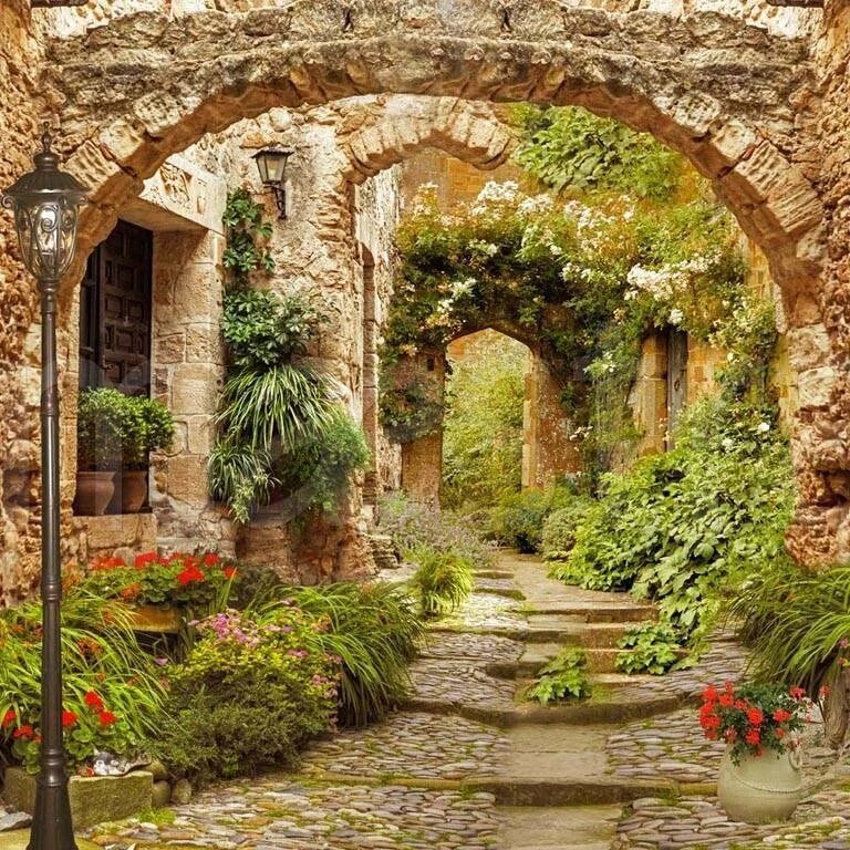 Старинная арка - арка, улочка, цветы - оригинал