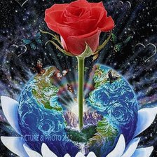 Схема вышивки «ROSA DMC»