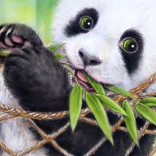 Схема вышивки «Панда»