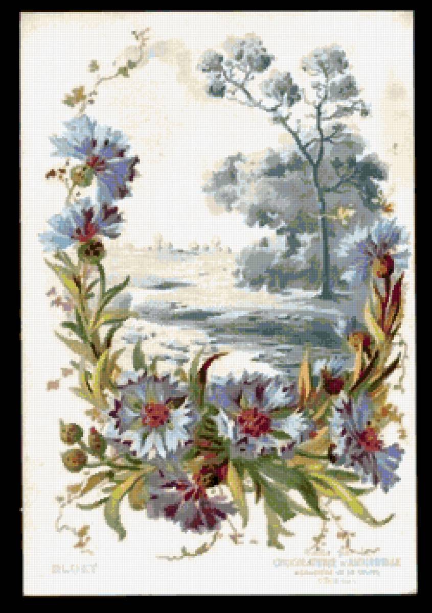 Васильки - открытка - предпросмотр