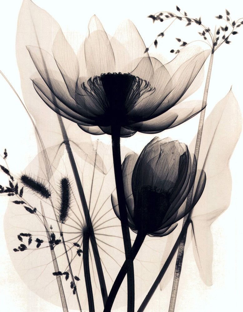 13.12.22 - оригинал