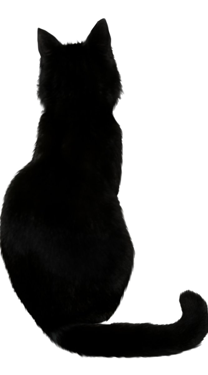 Кошка1(триплекс) - монохром, кошка, черная кошка - оригинал
