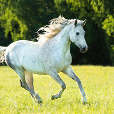 Схема вышивки «№2602803»