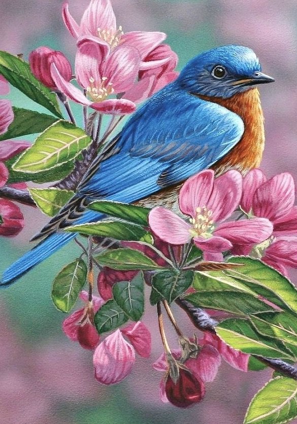 весна - птицы, весна, яблоня - оригинал