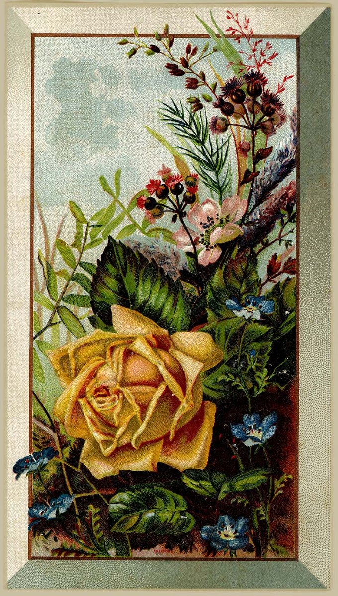 Королева цветов - открытка - оригинал