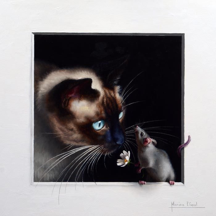 Кошки крыски - животные - оригинал