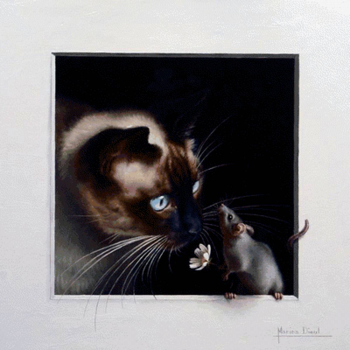 Кошки крыски - животные - предпросмотр